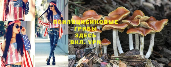 кокс Коряжма