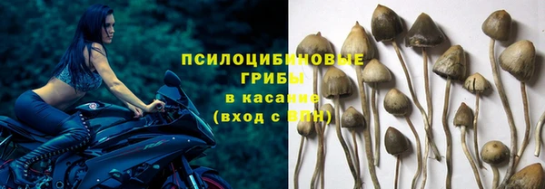 спиды Костерёво