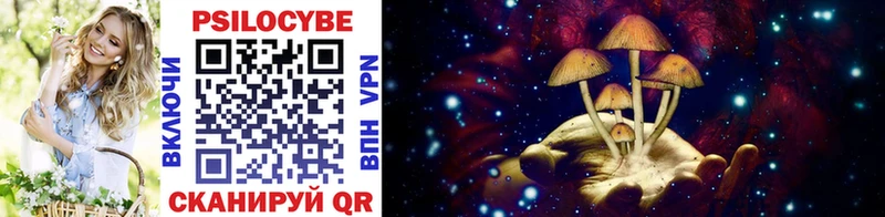 Купить  Шацк  Галлюциногенные грибы GOLDEN TEACHER 